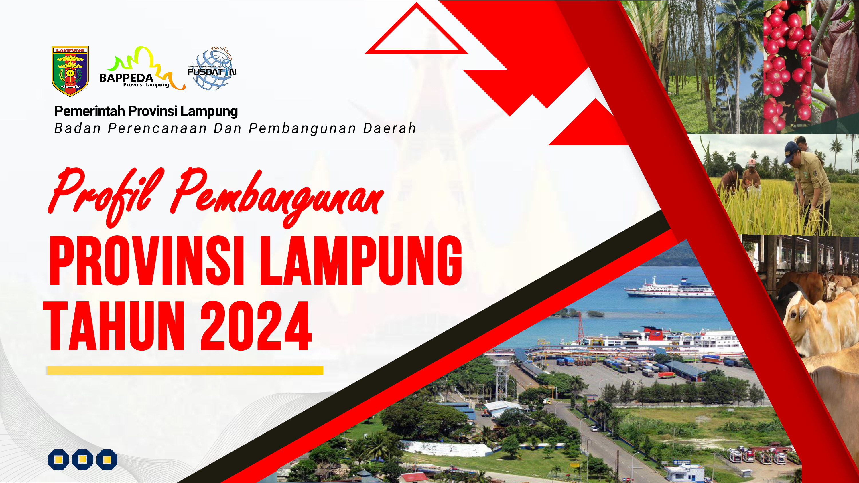 Profil Pembangunan Provinsi Lampung 2024